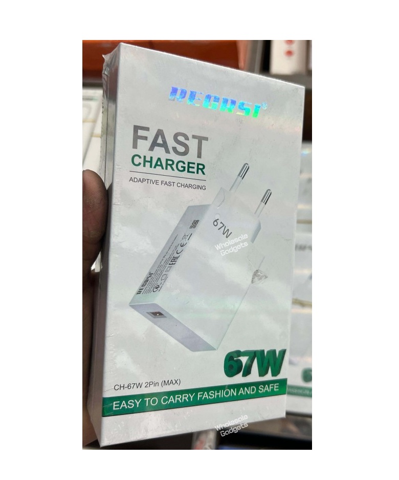 RECRSI CH-67W 2Pin Max Adaptive Fast Charger