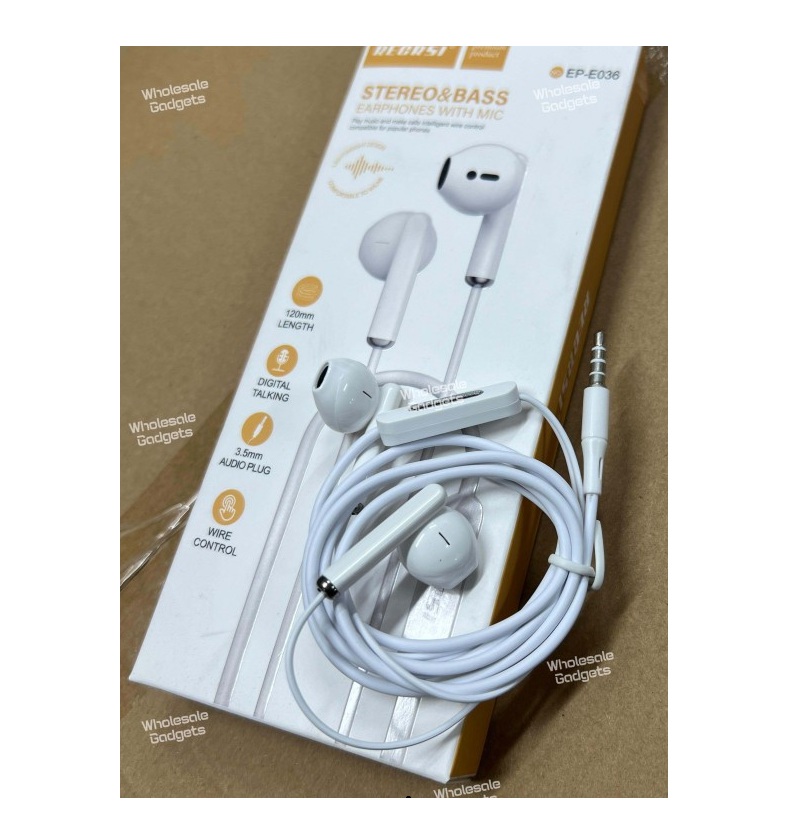 Recrsi EP-E036 Wired Earphone with Mic
